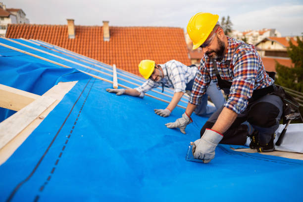 Best Residential Roofing Contractor  in Rineyville, KY