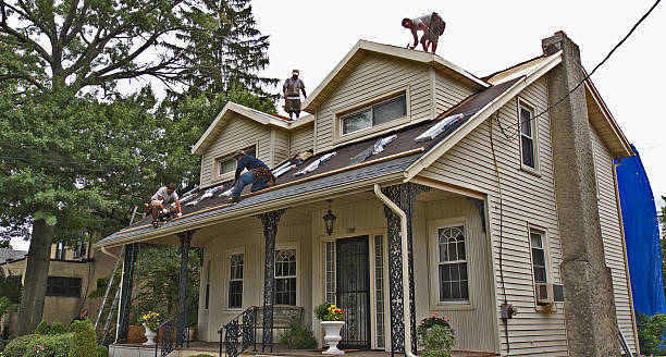 Roof Gutter Cleaning in Rineyville, KY